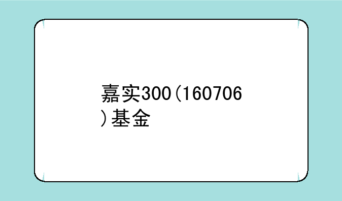 嘉实300(160706)基金